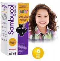 Sambucol Junior, płyn doustny, dla dzieci po 6 roku życia i dorosłych, 120ml